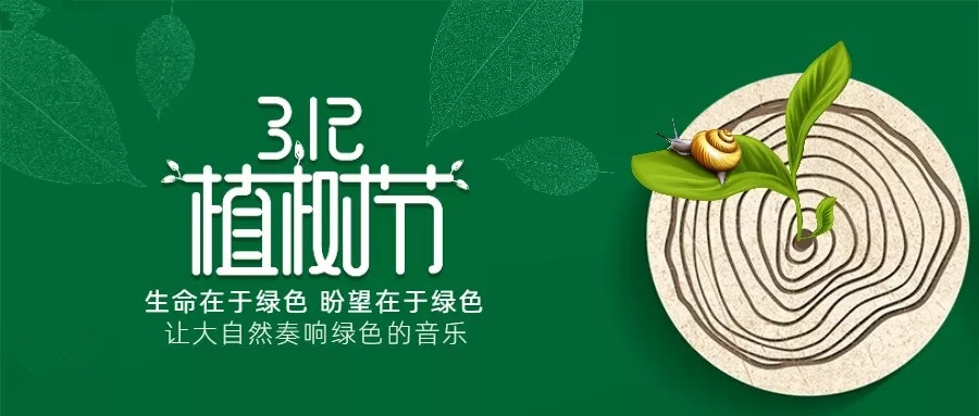 植樹節丨種下希望，孕育未來！